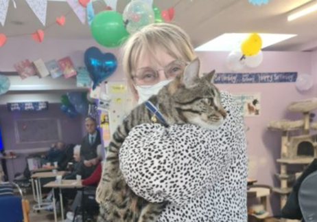 Dave the cat being hugged at Edensor Care Centre, Clacton, Essex 